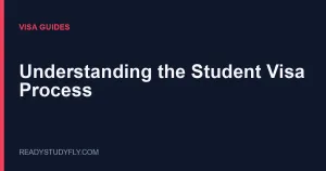 Understanding the Student Visa Process: A Step-by-Step Overview cover image